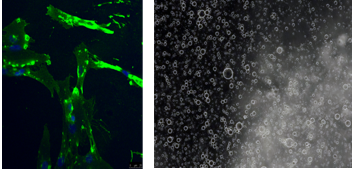 figure 3 et 4